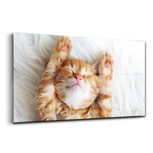 Verre d'art pour l'intérieur innovante Wallart premium 120x60cm style moderne