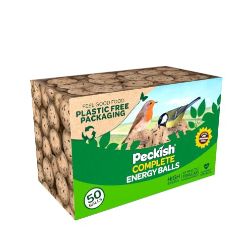 Peckish 60051245 Natural Balance Energy Balls 50 Box Brown