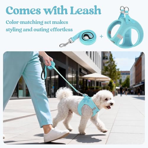 Image of rabbitgoo Dog Harness Small Sized and Leash Set, Step-in Puppy Pet Vest
