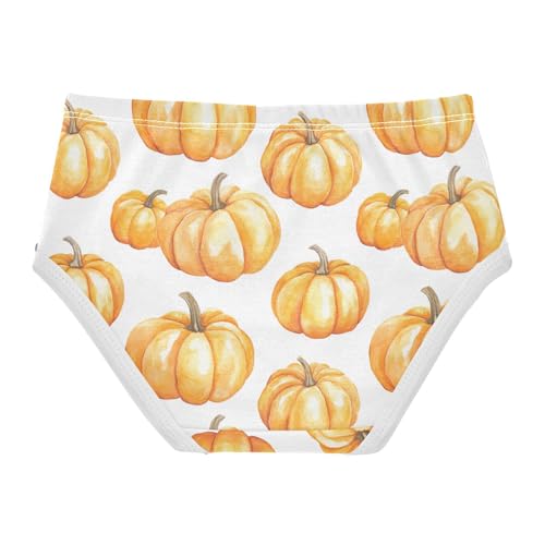 Fall Pumpkin Thanksgiving Autumn Toddler Girls's Underwear 2T 202b71942