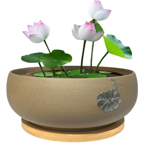 MUZHI Ceramic Hydroponic Lotus Planter with Bamboo Tray
