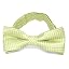 Apple Green Kimberly Chevron Stripe