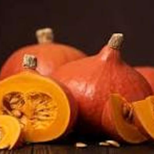 『Velout&eacute; de potimarron aux pains d&rsquo;&eacute;pices』のカバーアート