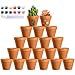 Realure 20 Stück Mini Terrakotta Töpfe 4.5x4 cm, Kleine Tontopf Blumentopf mit Farben & Pinsel, Kleine Tontöpfe zum Basteln,Wiederverwendbar Terrakotta Töpfe mit Abflussloch für Wohnung und Büro