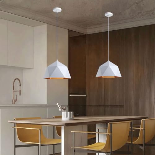 Luminaria decorativa de hierro E26 con acabado industrial premium 5