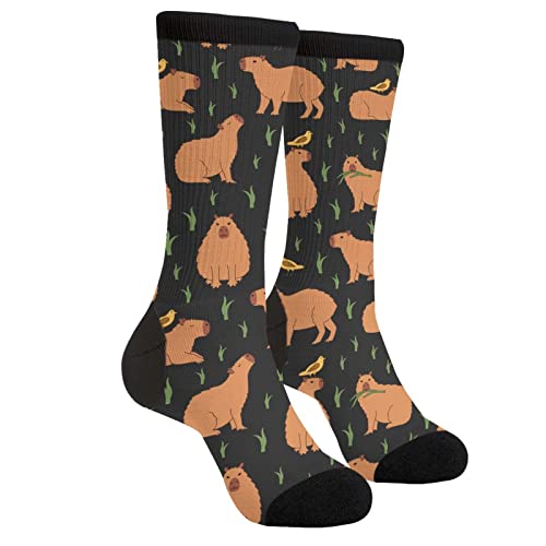 WILL BUDXEG Funny Capybara Capybaras Birds Grass Casual Novelty Fun Crew Socks Fashion Comfortable Men'S And Women'S Crazy Dress Socks