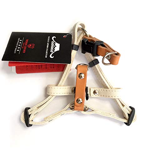 coloco RR Ȗ؃U[×q~zEn[lX Li p XSTCY