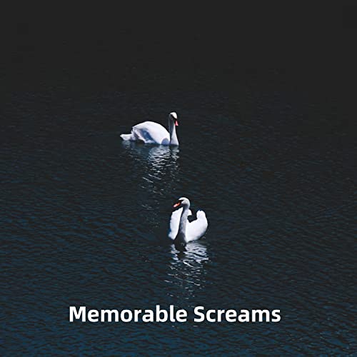 Sweety Girl (ç¿»å”±)