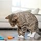 Petstages Kauspielzeug für Katzen