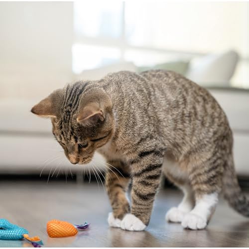 Petstages Catnip Dental Health Chews - Zahnpflege-Kauspielzeug für Katzen - Katzenminze - Mehrfarbig - 2 Stück