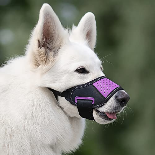 Goodboy Dog Muzzle That Allows Drinking And Panting, Prevents Biting - Soft, Breathable Nylon And Rubber Mesh With Adjustable Straps To Fit Small, Medium, Large And Extra Large Dogs (Pink M) #TOP4