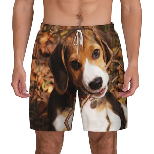 Short de bain beagle séchage rapide pour homme adepte de surf