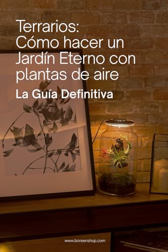 Terrarios: Cómo hacer un Jardín Eterno con plantas de aire (Guía definitiva): Montaje, cuidado...