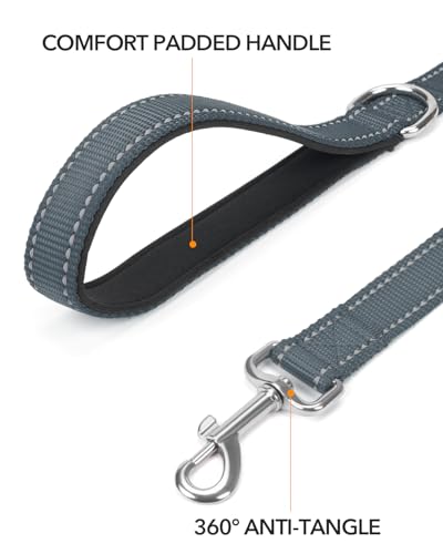 Taglory Hundeleine Mittelgroße Große Hunde Leicht | Doppelseitig Reflektierend | Gepolsterter Griff | Unterstützung 10 bis 75 kg | 1.8m x 2.5cm | Grau