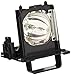 AvanTek Premium 915B455011 Projection TV Lamp with Housing