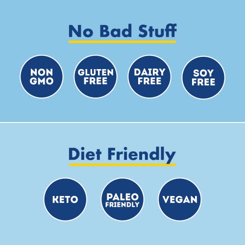 Iqbar Brain And Body Keto Protein Bars - Chocolate Sea Salt And Fruit Lovers Variety - 12 Count Energy Bars - Low Carb Protein Bars - High Fiber Vegan Bars Low Sugar Meal Replacement Bars #TOP6