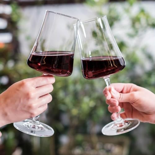 Haus Concept, 56413/101, Taça Para Vinho Tinto Pleasure, 460ml, 23, 7 X 9, 4 Cm