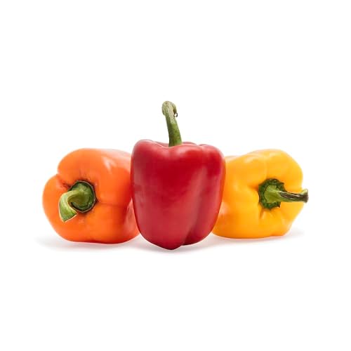 Sunset Pepper Bell Tricolor Conventional, 3 Count