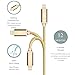 LAX iPhone Charger Lightning Cable - MFi Certified Durable Braided Apple Lightning USB Cord for iPhone 11/11 Pro Max/XS Max/X/iPad, iPod & More 2 Pack