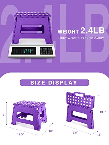 Dyforce Folding Step Stool 9