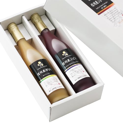 R ʏ`100% 쌧Y t[cW[X 2 MtgZbg(Ԃǂ/mȂ / 500ml×2{ / MBY/퉷)   蕨 (Mtg/yY/v[g)