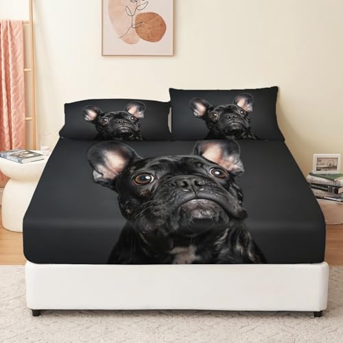 Lenzuolo con angoli profondi stampato Bulldog francese 3 pezzi con 2 federe Lenzuola in tessuto microfibra spazzolato extra morbido nero, 160 x 200 + 30 CM