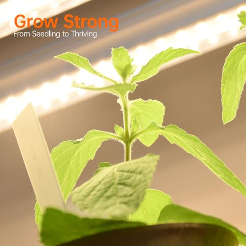 Bstrip Plant Shelf with Grow Light, Tall Grow Light Shelf, Plant Stand with 6 Pack 90W Full Spectrum Plant Lights for Indoor Plants, Seed Starting, Seed Tray, 35.4" Lx13.8 Wx70.8 H by Bstrip - Image 7