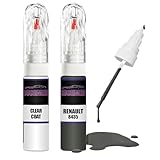 Für Renault AMBRE GRIS 8435 + Klarlack Fix Kit