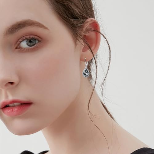 Animal Earrings 925 Sterling Silver Abalone Shell Dangle Drop Earrings Leverback Earrings Cute Animal Jewelry Gifts for Women Girlfriend3