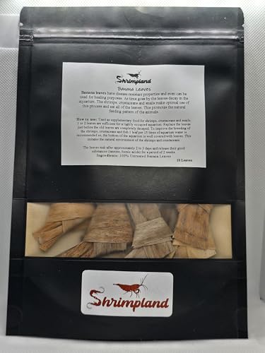 10 hojas de plátano, hojas de camarón Shrimpland Shrimp Food