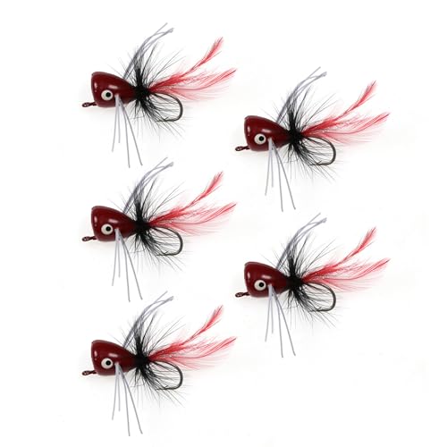 5 tCtBbVOgbvEH[^[A[tC|bsOA[gEg|bsOA[tbNCƍ`