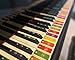 Piano Keyboard Color Hearing Stickers for Learning Notes and Developing Absolute Pitch - Removable, up to 88 Keys