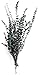 SuperMoss (15200 Dried Flowers - Eucalyptus, Green, 3.5oz