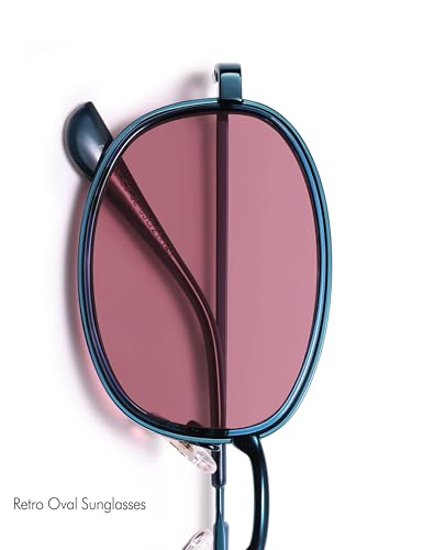 Retro Oval Sunglasses for Women Men Trendy Large Round Y2k Sunnies AP3681