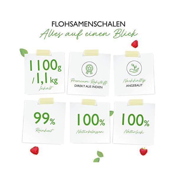 Flohsamenschalen 1,1 kg - 1100 g - Rückstandskontrolliert - 99% Reinheit - Herkunft: Indien - Low-Carb… – Bild 3