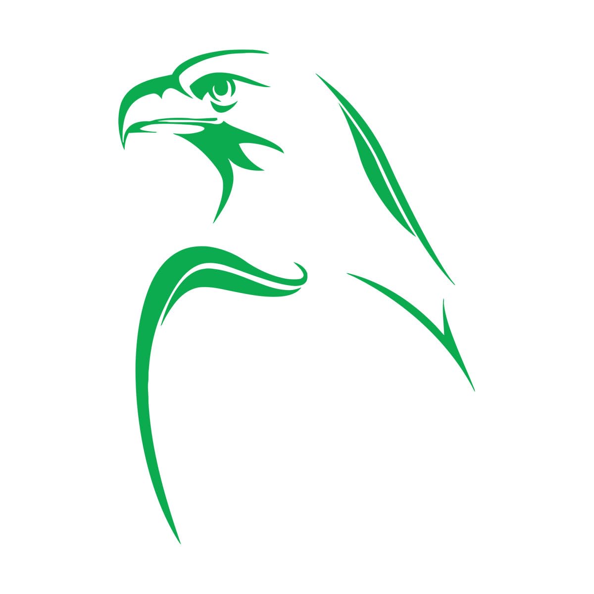 Bird Bald Eagle Home Decoration Stickers Wallpaper for Living Room PVC Wall Decal Raven Animal Murals Extra Large - 60x84cm
