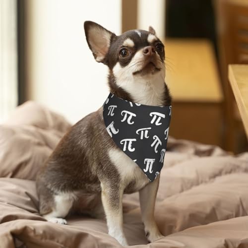 Pañuelo para perros ajustable Pi Day divertido medio miniatura 3