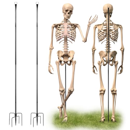 Otoolling 2 Sets Skeleton Stand Pose Stay Metal Stand for Skeletons Halloween Decor Accessories Skeletons Not Included(Classic Black)