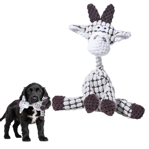 Lifetips CObVERbJ[EXpjG pʂ  XNC[J[ JVJV {AR[fC y v @OK ^ q VjA XgX p pʂ  XNC[J[ @