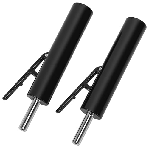 HISUEKIG 2PCS Goupilles Poids, Diamètre pour Salle Sport Goupilles Drop Set Accessoires Appareils d'exercice Équipement de Musculation pour Salle de Sport Commerciale et à Domicile