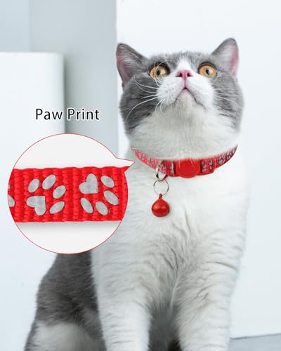 image for TagME Cat Collar with Name Tag, Personalized Reflective Cat Collar Bre