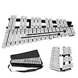 Xylophone de 30 Notes, Instrument de Percussion Professionnel, Instrument de Percussion avec Touches en Aluminium et 2 Maillets et Sac de Transport, pour Débutants, Adultes, Interprétation Morceaux