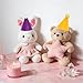 Avxzbef 12Pcs Stuffed Toy Party Hats Birthday Party Mini Cone Hats for Dolls Cat Dog Kitten Puppy Rabbit Birthday Party Decorations