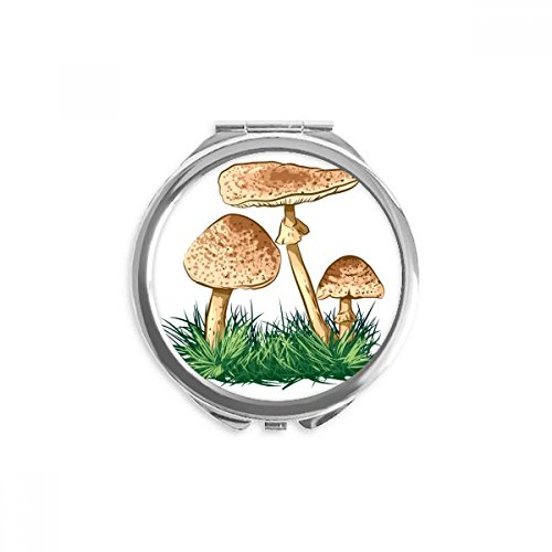 Miroir maquillage de poche portable illustration truffe plante verte au bureau