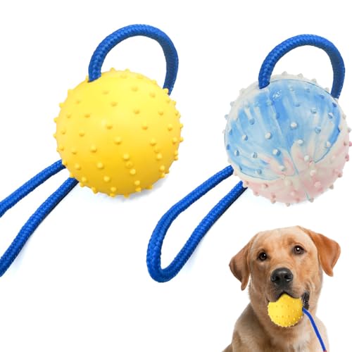 DLDER Pacote com 2 bolas para cães em uma corda, brinquedo de borracha para cães buscar treinamento