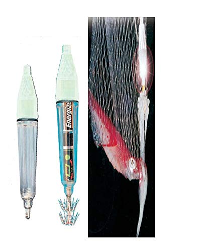 Zepre Totanara a Luce Intermittente (con cestello