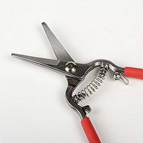 Tijeras para podar uvas 8" con mango suave miniatura 2