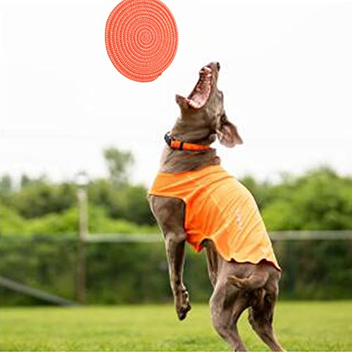 Hundefrisbee Lamtwek 3er Set, 20 cm robuste Wurfscheiben für Hunde