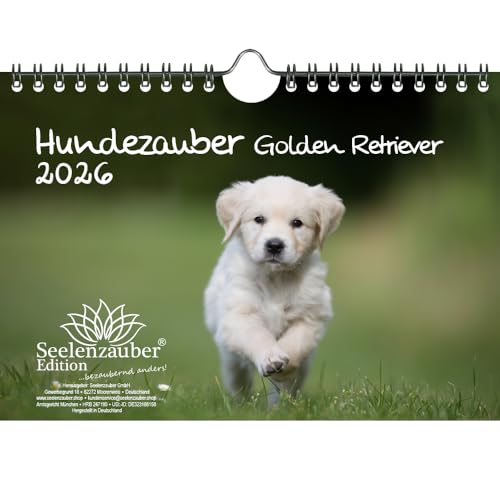 Hundezauber Beagles Planer DIN A3 Kalender für 2026 Welpen und Hunde - Seelenzauber Hundezauber Beagles Planer DIN A3 Kalender für 2026 Welpen und Hunde - Seelenzauber