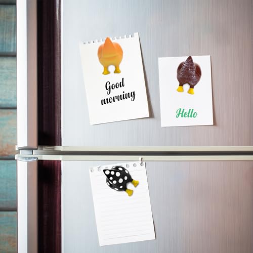 Imanes de Pollo Decorativos Paquete 6 Piezas miniatura 4